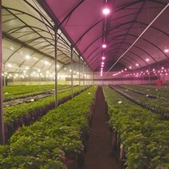 High-rise plant lights und industrial/mining lights