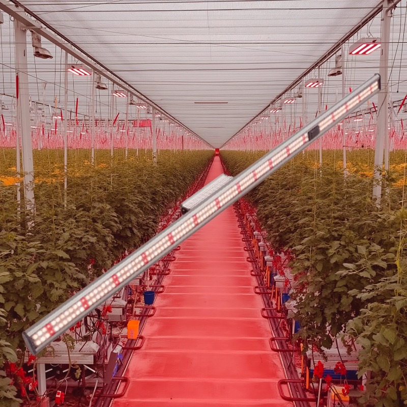 linear led grow lights (2)