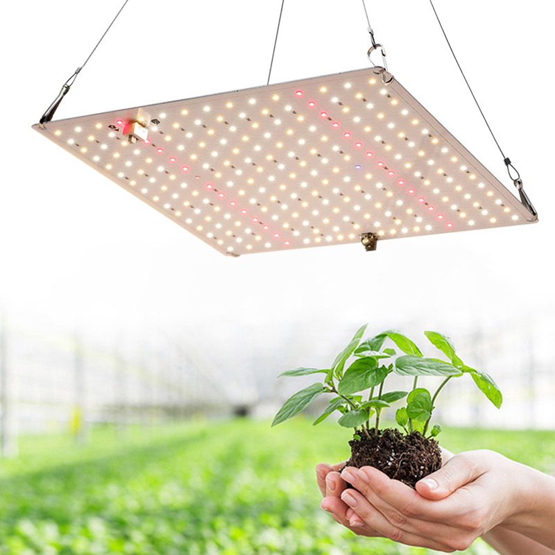 Panel grow lights | LED Grow Light | led manufacturers