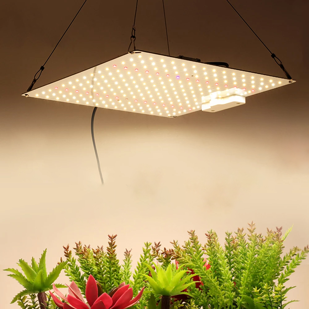 Panel grow lights | LED Grow Light | led manufacturers Panel grow lights | LED Grow Light | led manufacturers