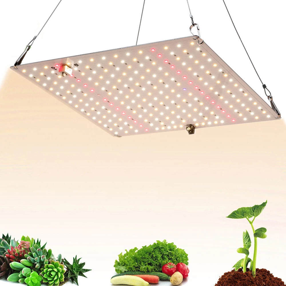 Panel grow lights | LED Grow Light | led manufacturers Panel grow lights are a kind of lighting equipment for indoor LED Grow Light. Queendom uses LED technology to promote plant photosynthesis and development