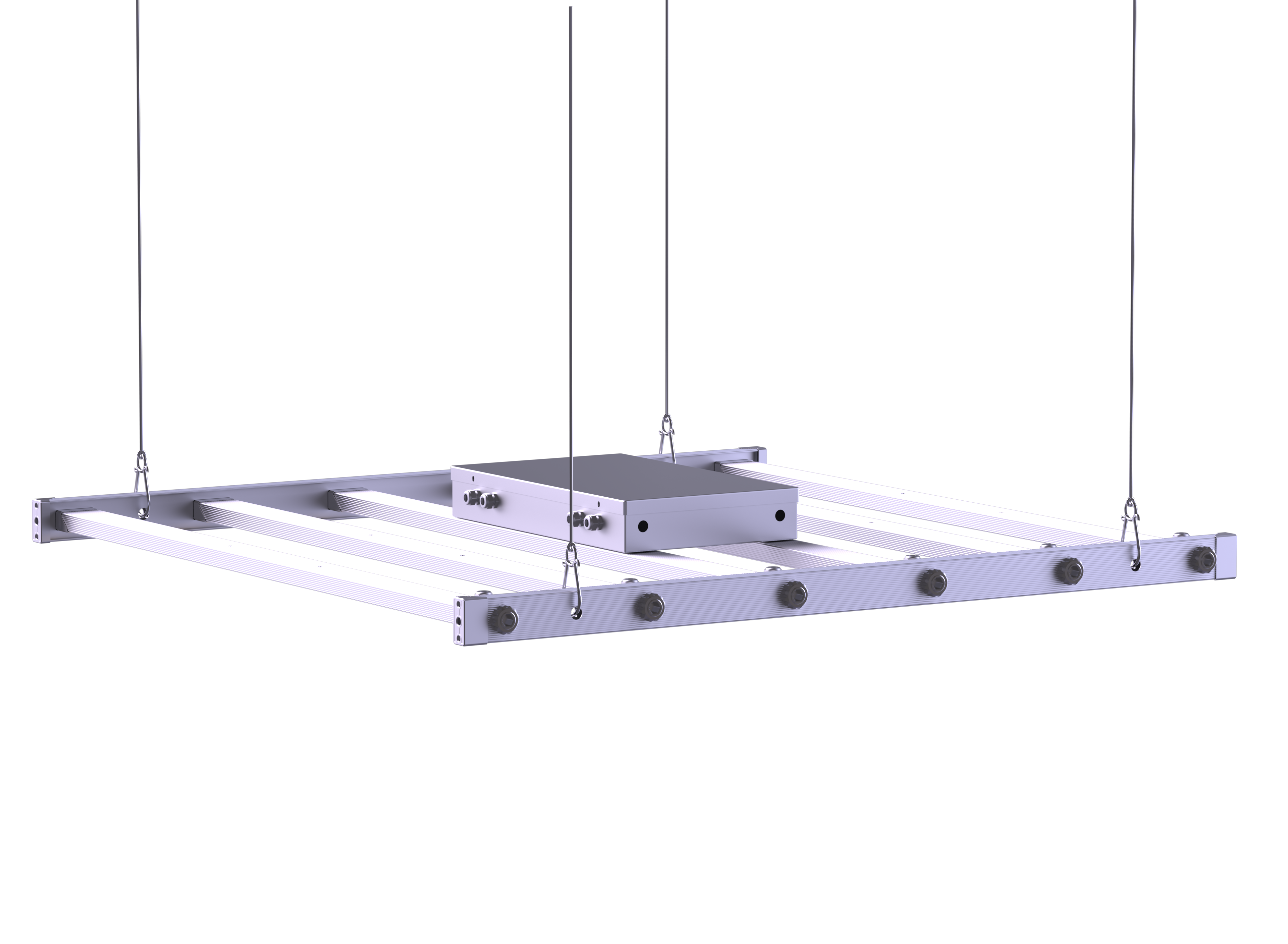 Octopus plant light Octopus plant light