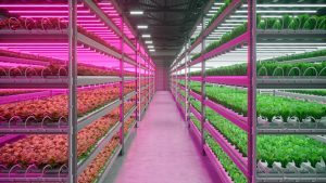 Research laboratory growth lighting for controlled scientific plant experiments