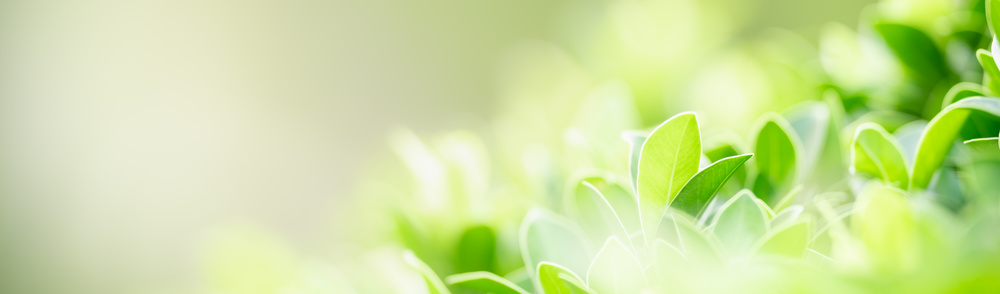 Agricultural Lighting Solutions