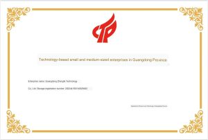 Queendom Technology Enterprise Certificate