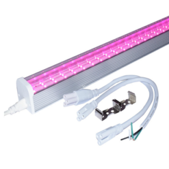 Die image shows T12 grow light von China QUEENDOM Company.