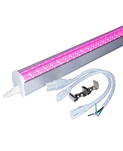 T12 grow light The image shows T12 grow light of China QUEENDOM Company.