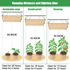 Die image shows full spectrum grow light von China QUEENDOM Company.