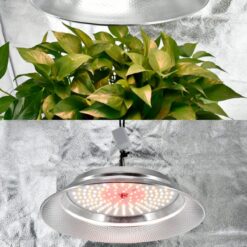 Die image shows full spectrum plant grow light von China QUEENDOM Company.
