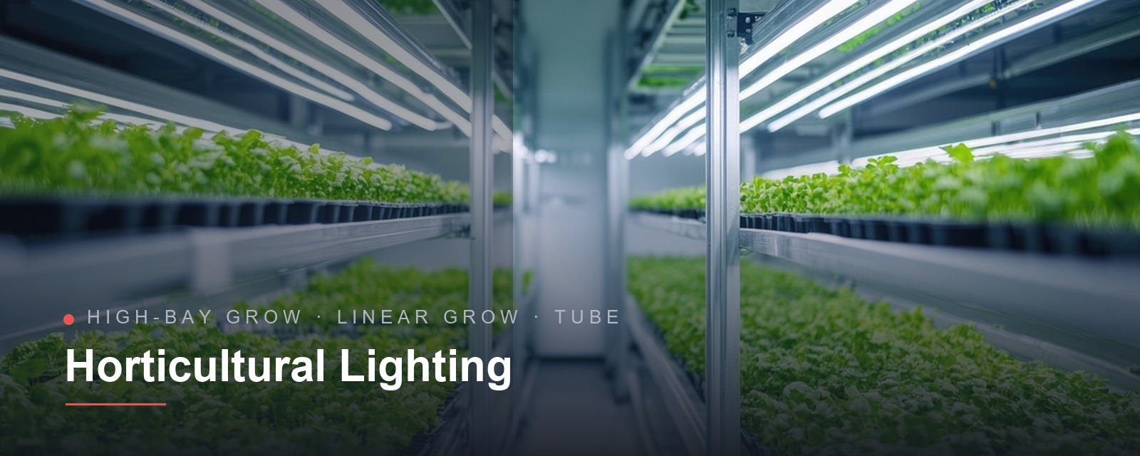 Horticultural Lighting