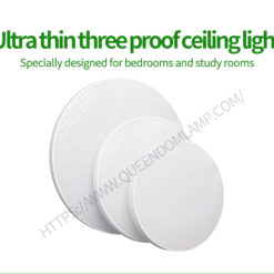 Ceiling Light LED