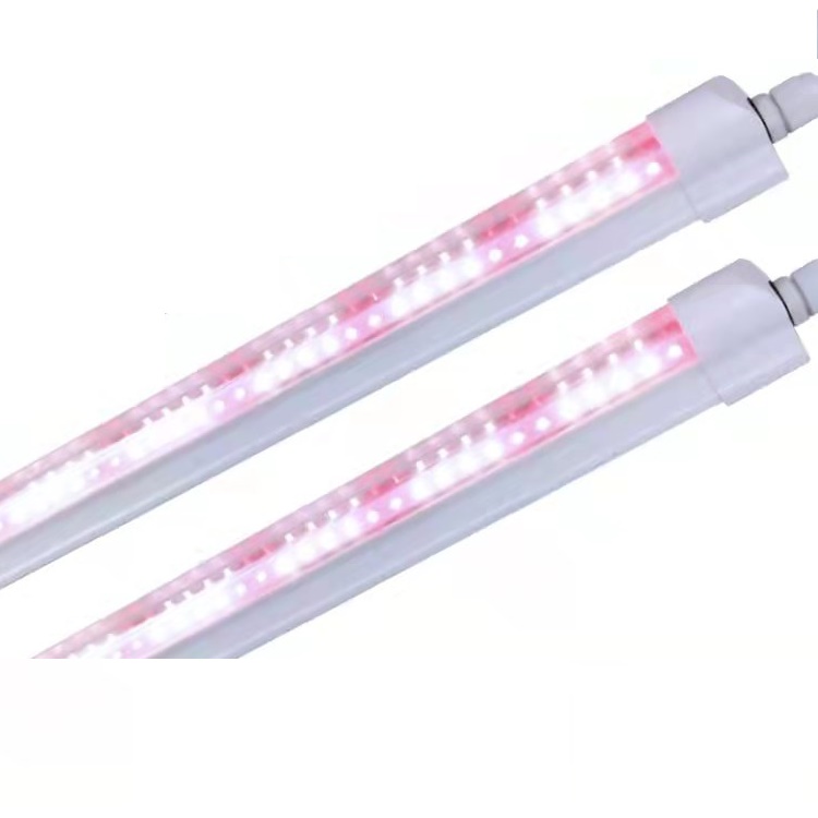 微信图片 20211020201143 微信图片 20211020201143