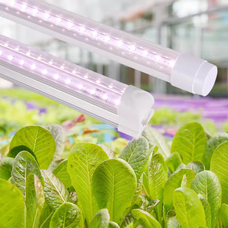 T8 integrated Grow Light | led grow light tubes | full spectrum T8 integrated Grow Light | led grow light tubes | full spectrum