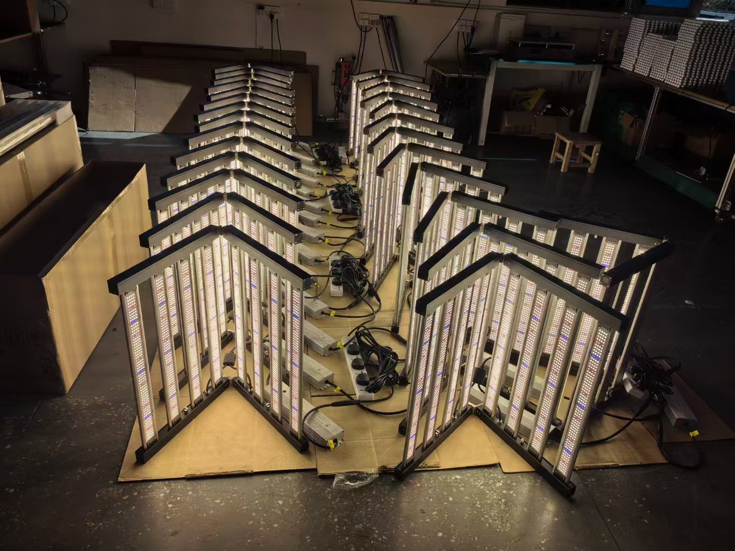 Octopus plant light Octopus plant light