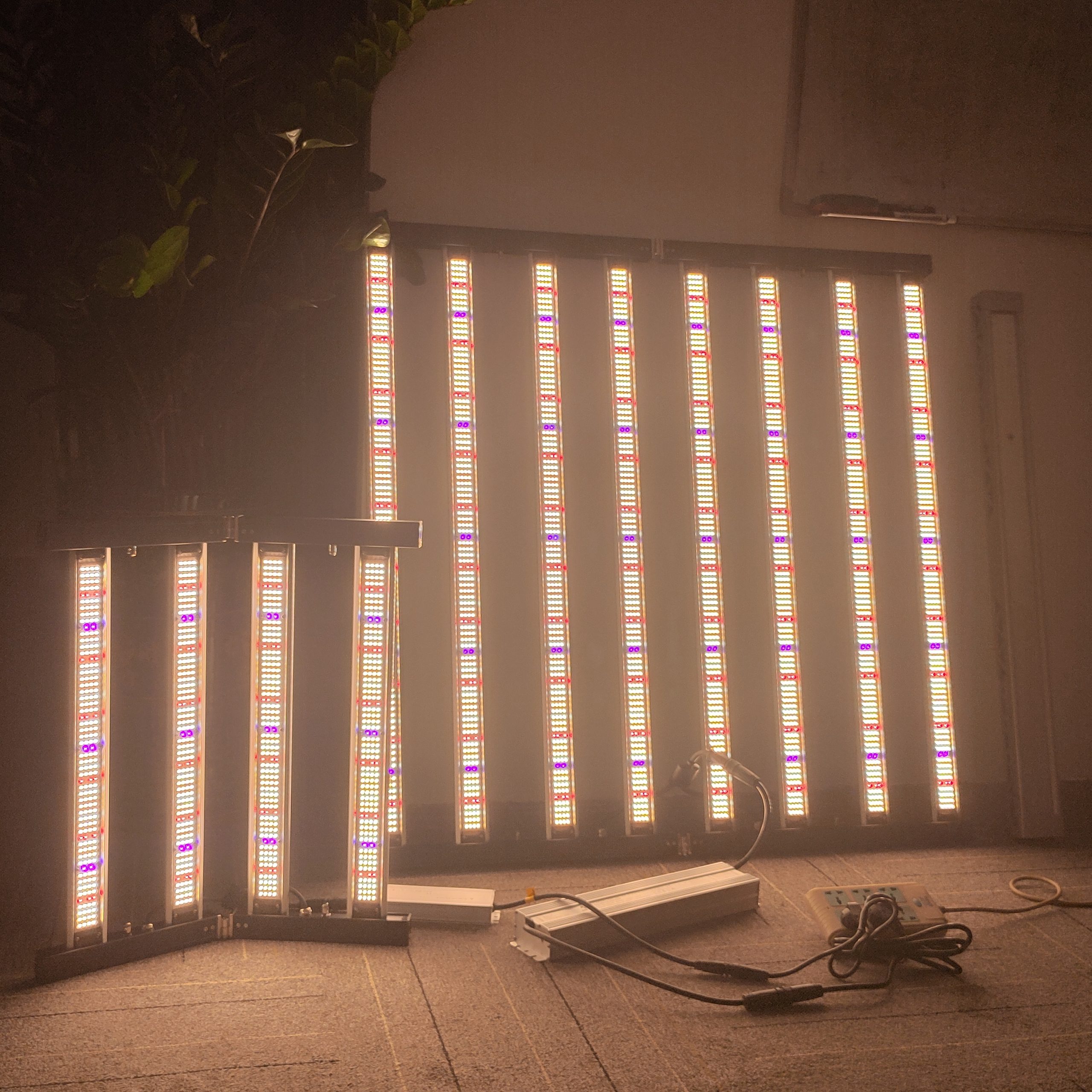 Octopus plant light Octopus plant light